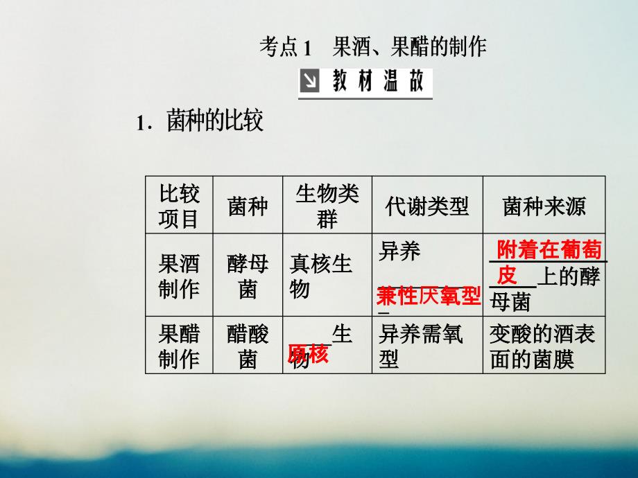 生物总第十一单元 生物技术实践 第1讲 传统发酵技术的应用_第3页