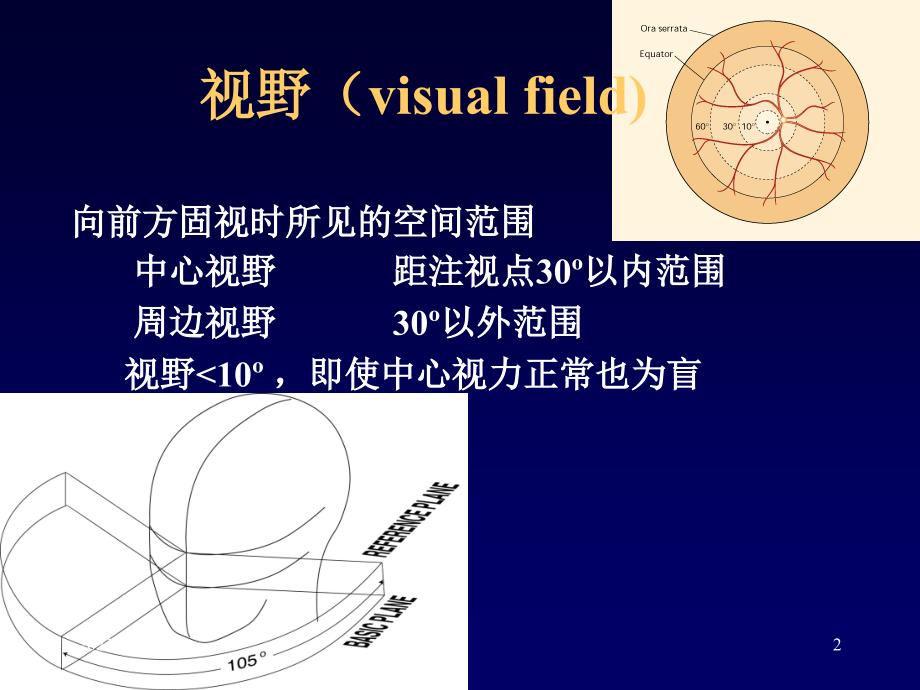 视野缺损PPT课件_第2页