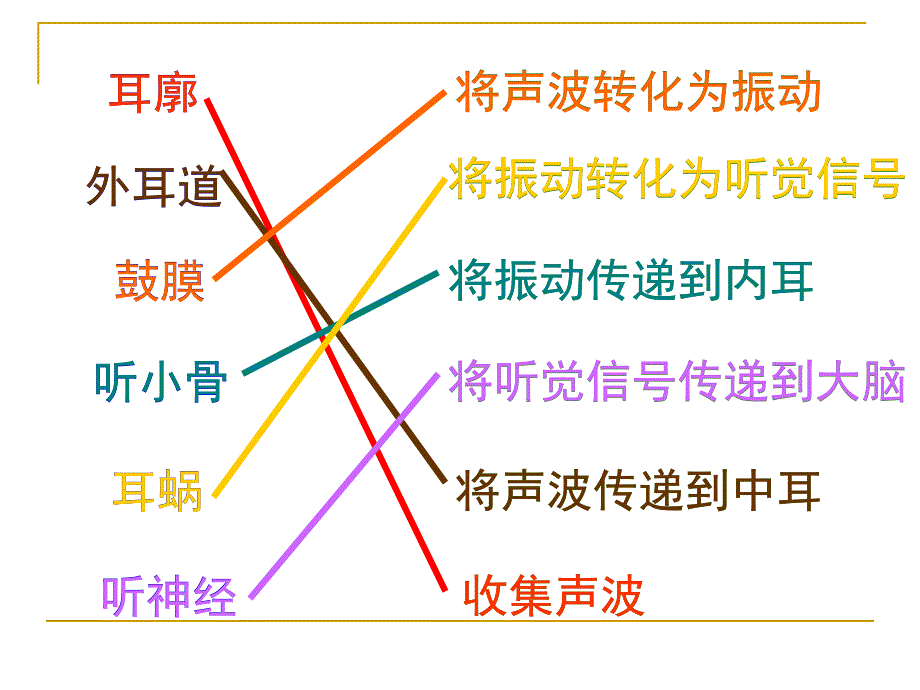 青岛版小学科学怎样听到声音课件_第4页