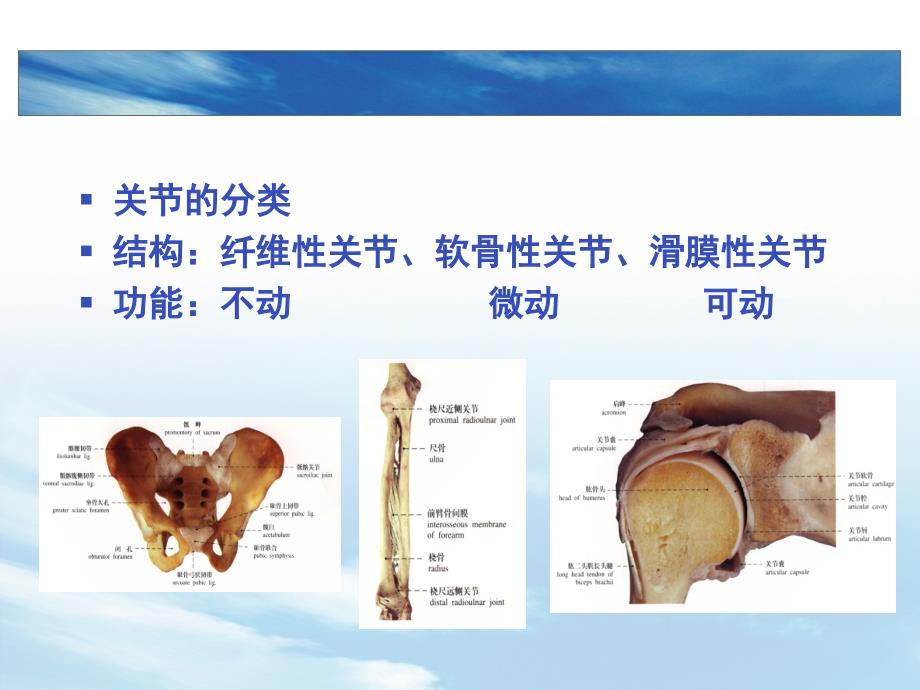 关节活动度的测量_第3页