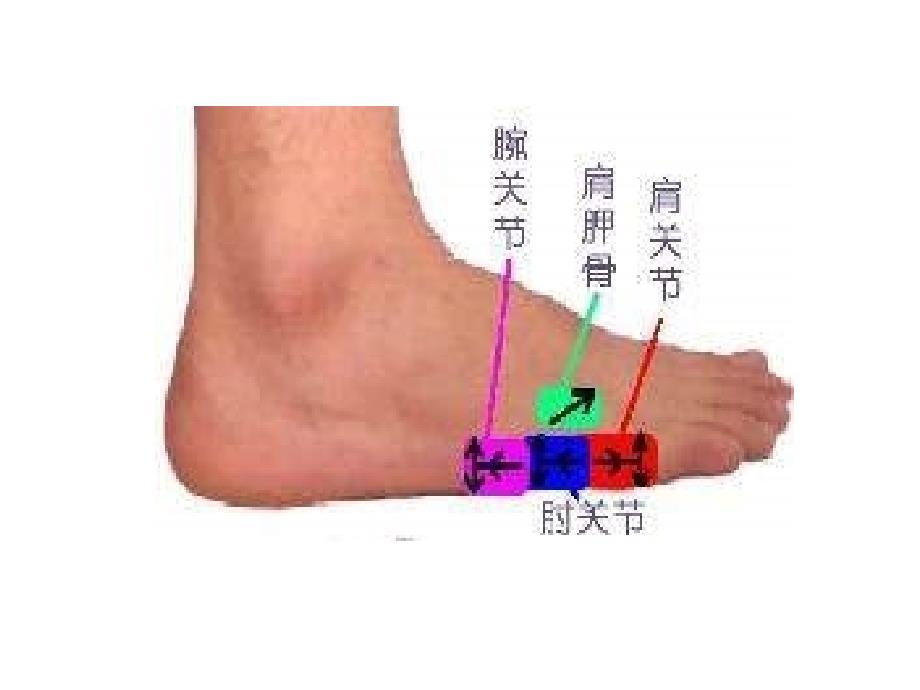 广州版英语三上UNIT5RaieMyArms课件_第2页