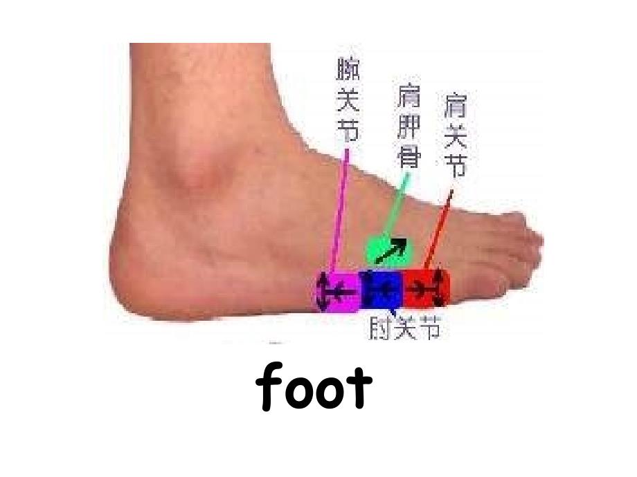 广州版英语三上UNIT5RaieMyArms课件_第3页