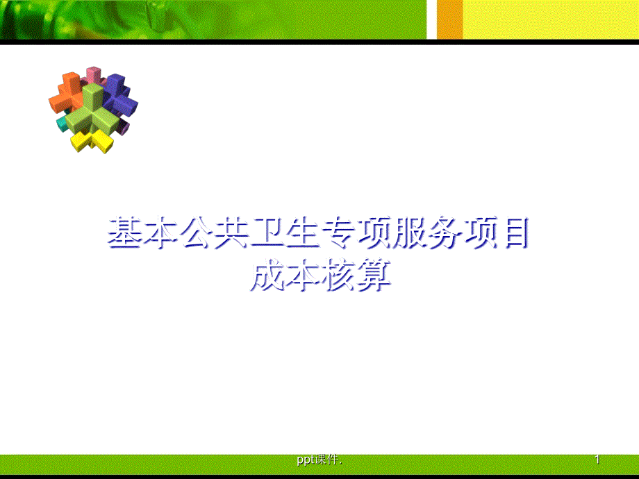 基本公共卫生专项服务项目成本核算ppt课件_第1页