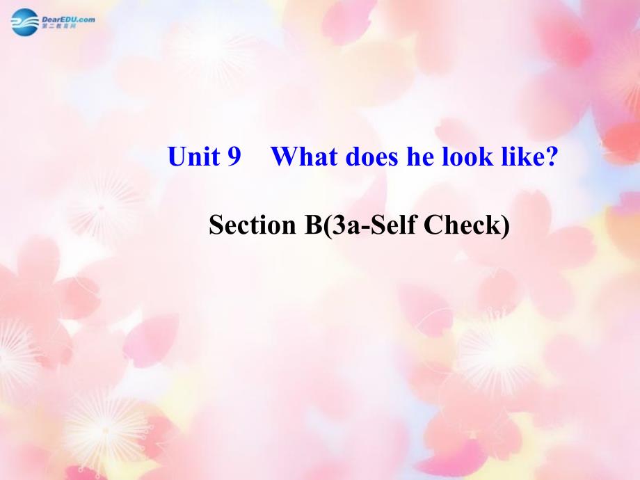 七年级英语Unit 9 What does he look like Section B(3a-Self Check)课件_第2页