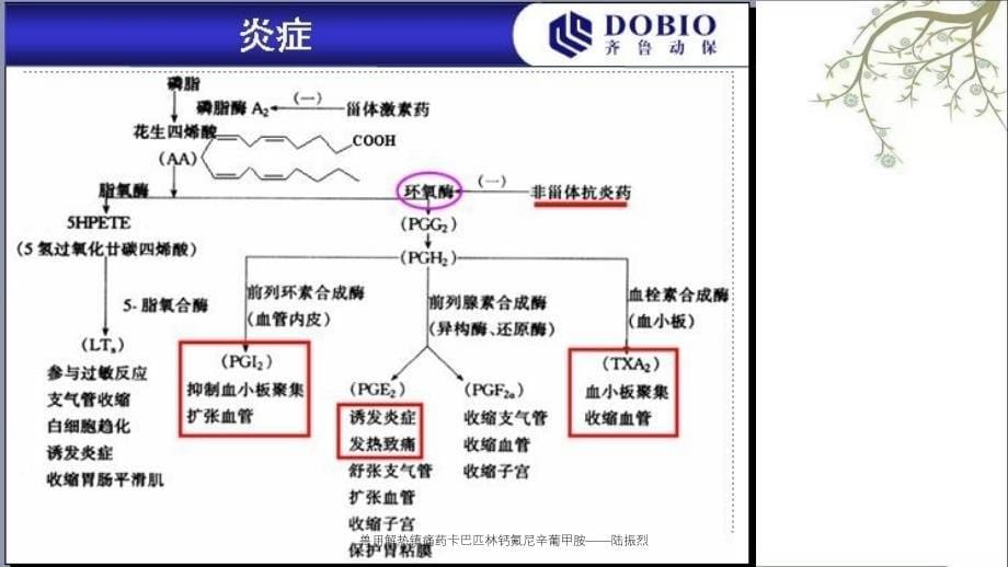 兽用解热镇痛药卡巴匹林钙氟尼辛葡甲胺陆振烈_第5页