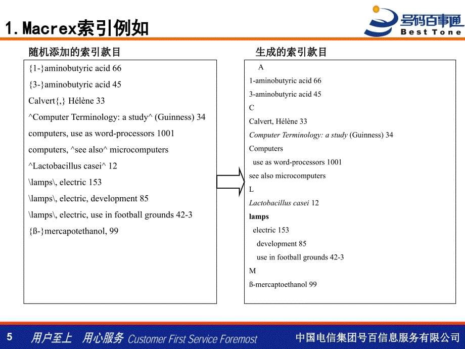 中国电信集团百信息服务有限公司_第5页