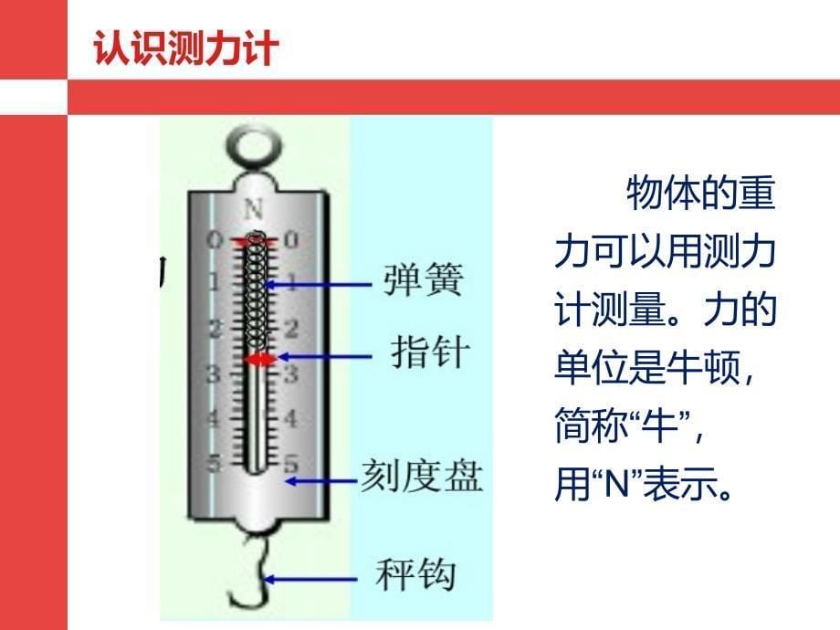 青岛版科学五四制四上第21课苹果为什么落地ppt课件3_第5页