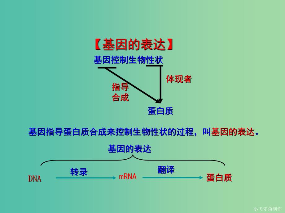 高中生物专题4.1.1基因指导蛋白质的合成课件提升版.ppt_第2页