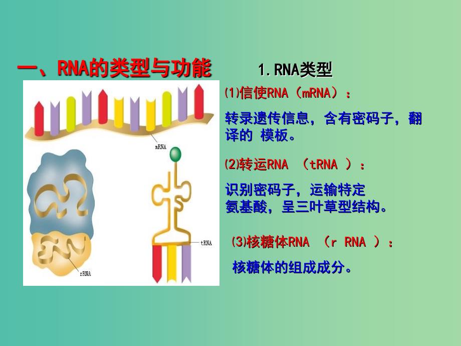 高中生物专题4.1.1基因指导蛋白质的合成课件提升版.ppt_第3页