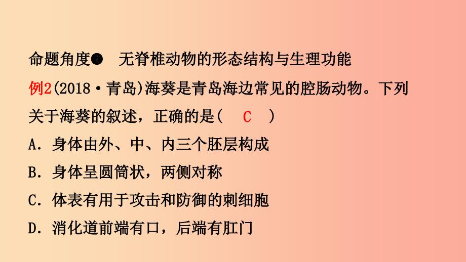 山东省2019年中考生物总复习 第五单元 生物圈中的其他生物 第一章 动物的主要类群课件.ppt_第3页