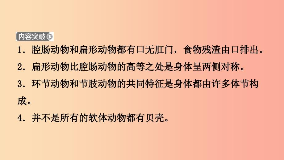 山东省2019年中考生物总复习 第五单元 生物圈中的其他生物 第一章 动物的主要类群课件.ppt_第4页