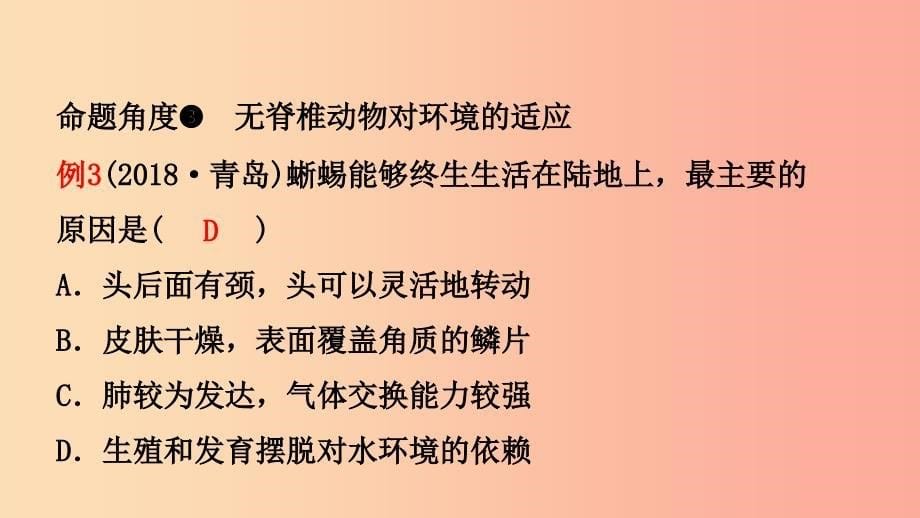 山东省2019年中考生物总复习 第五单元 生物圈中的其他生物 第一章 动物的主要类群课件.ppt_第5页