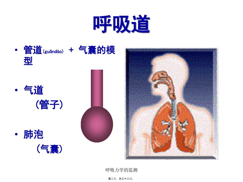 呼吸力学的监测课件_第2页