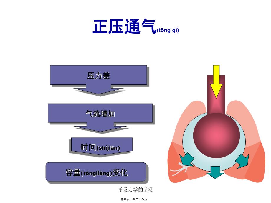 呼吸力学的监测课件_第4页