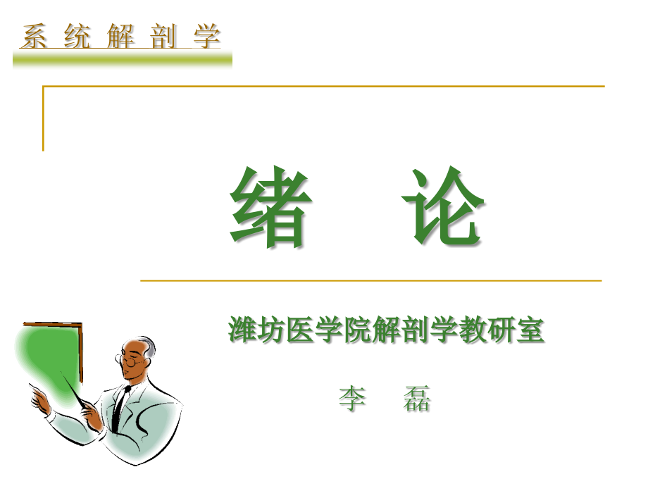 《系统解剖学》教学课件：运动系统_第1页