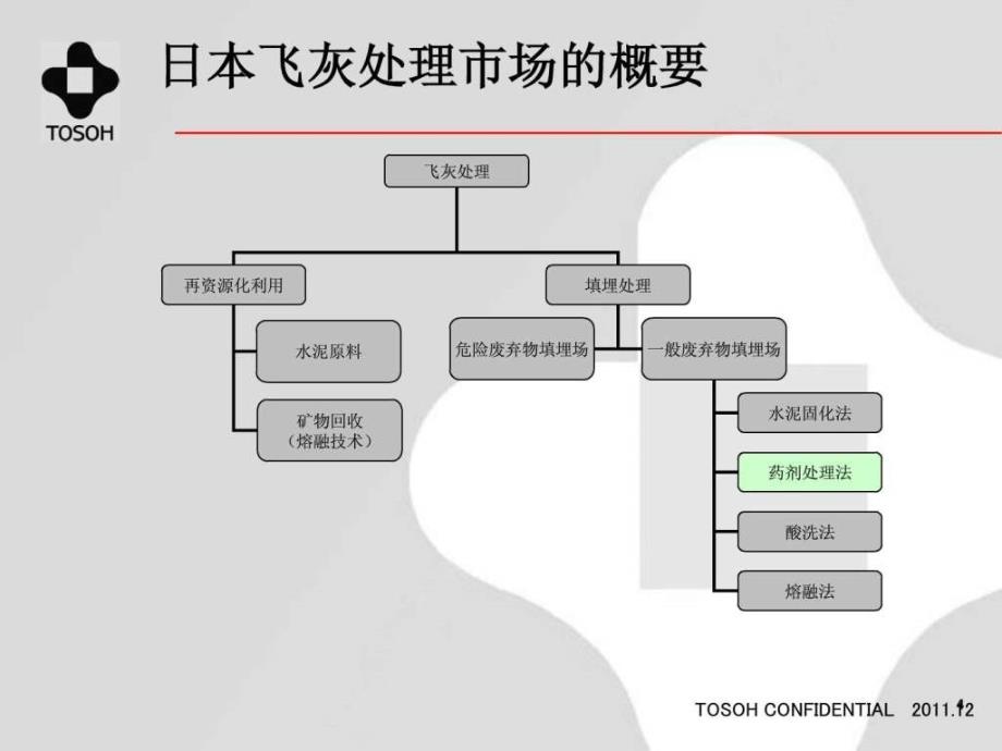 4东曹株式会社中国飞灰调查结果及东曹TS300重金属处....ppt15_第4页