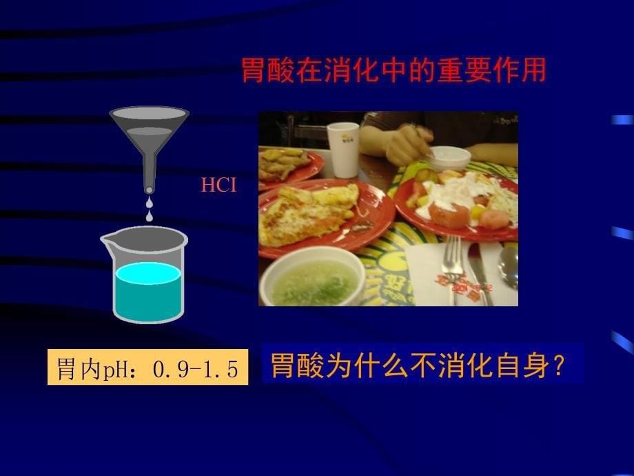 内科学教学课件：16 消化性溃疡_第5页