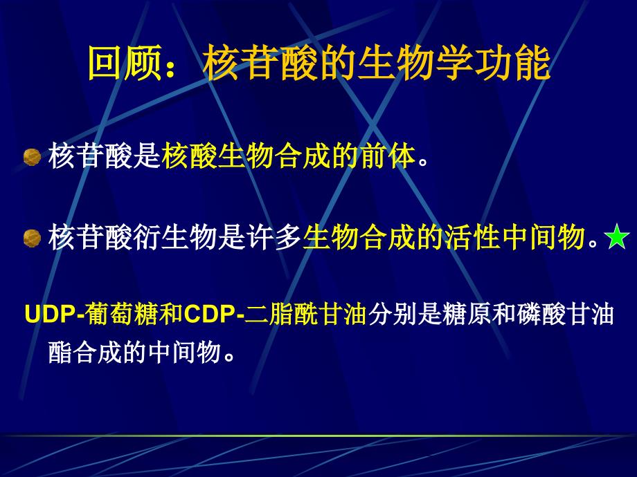 第33章 核酸的降解和核苷酸代谢_第2页