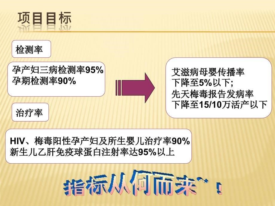 预防艾滋病、梅毒和乙肝母婴传播信息管理_第5页