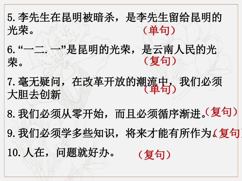 广东省深圳市宝安区中考语文语法专项复习课件2_第2页