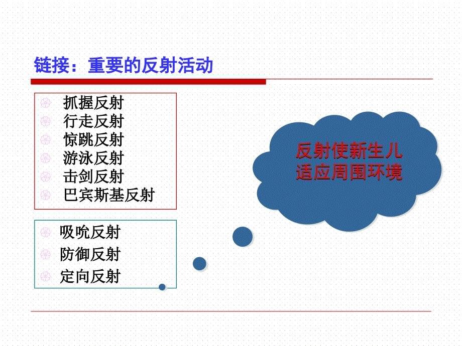 发展心理学概述.ppt_第5页