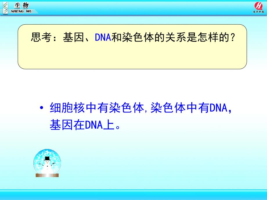 基因在亲子代间的传递静_第3页