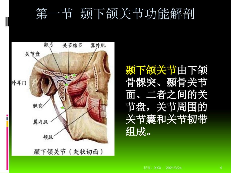 颞下颌关节解剖及常见病PPT课件_第4页