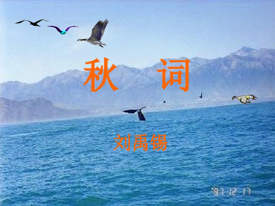 鄂教版语文七年级上册画眉鸟ppt课件_第1页