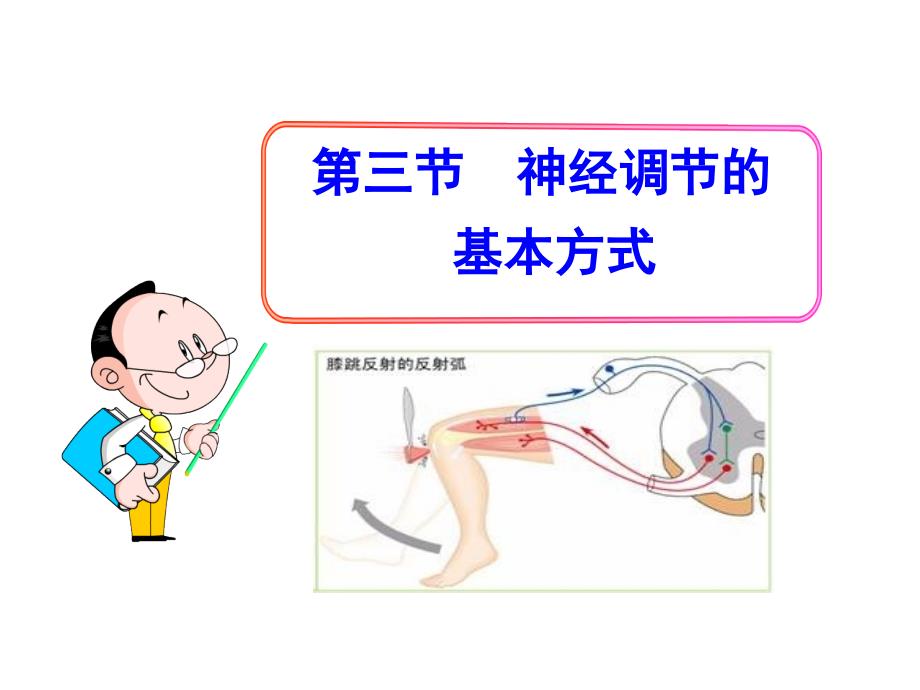 神经调节的基本方式(共29张PPT)_第1页