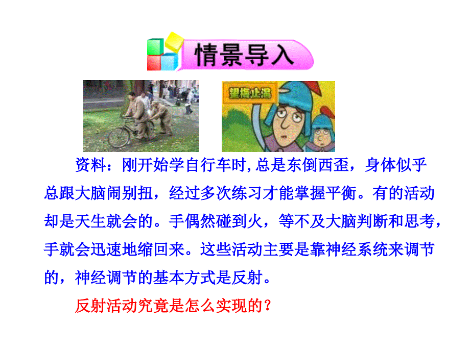 神经调节的基本方式(共29张PPT)_第2页