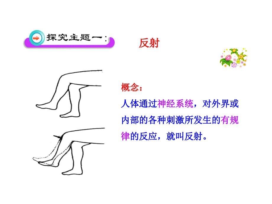 神经调节的基本方式(共29张PPT)_第5页