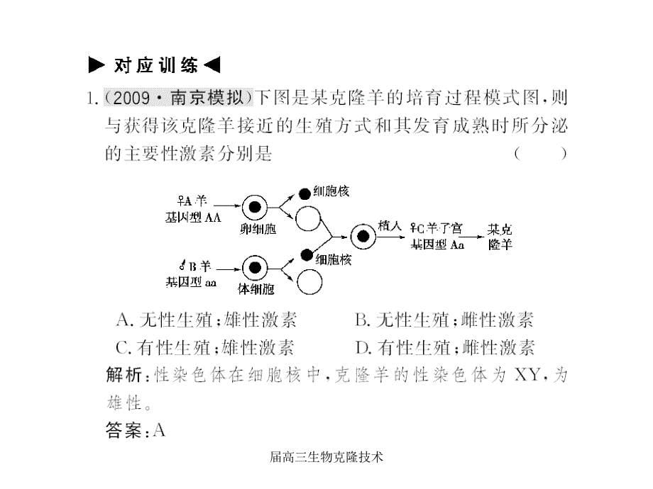 高三生物克隆技术课件_第5页