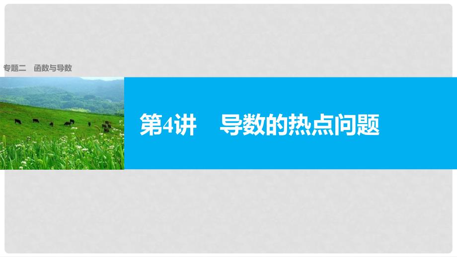 新（全国甲卷）高考数学大二轮总复习与增分策略 专题二 函数与导数 第4讲 导数的热点问题课件 理_第1页