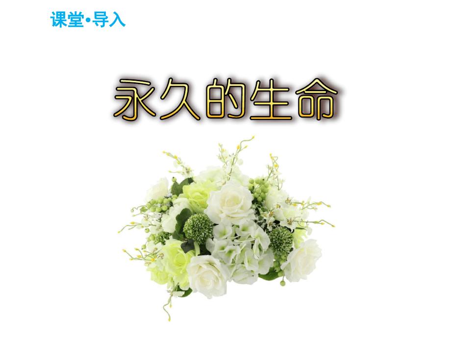 人教部编版八年级语文上册15散文二篇课件共54张_第1页