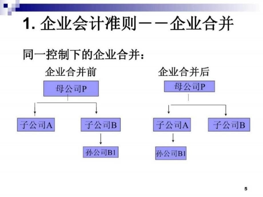 会计准则培训讲义_第5页