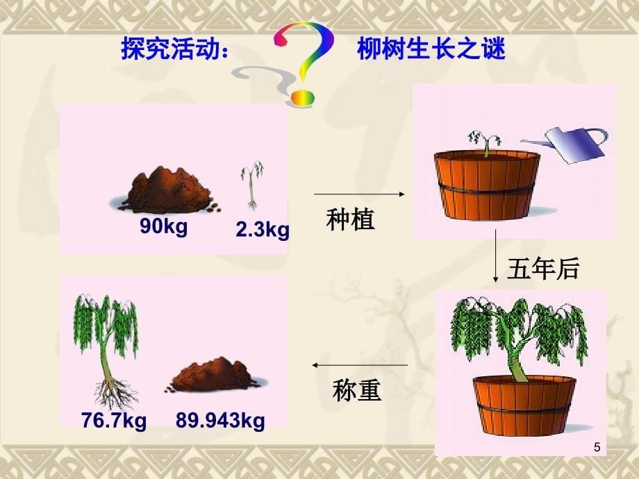 植物的光合作用ppt课件_第5页