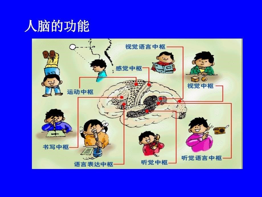 哲学常识1.3意识是客观事物在人脑中反映_第5页