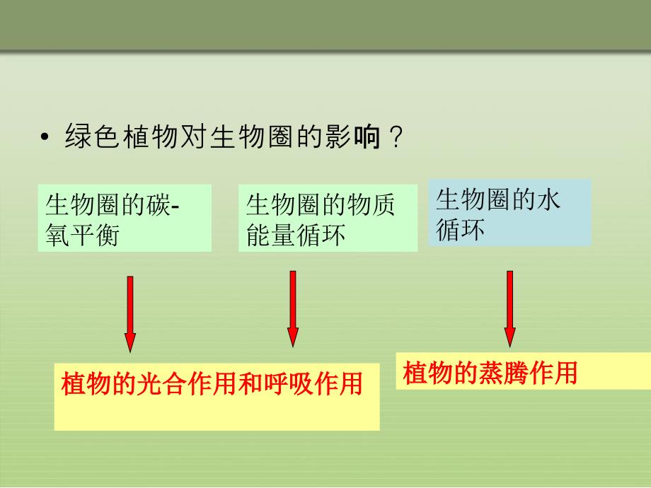 第三章绿色植物与生物圈的水循环复习_第3页