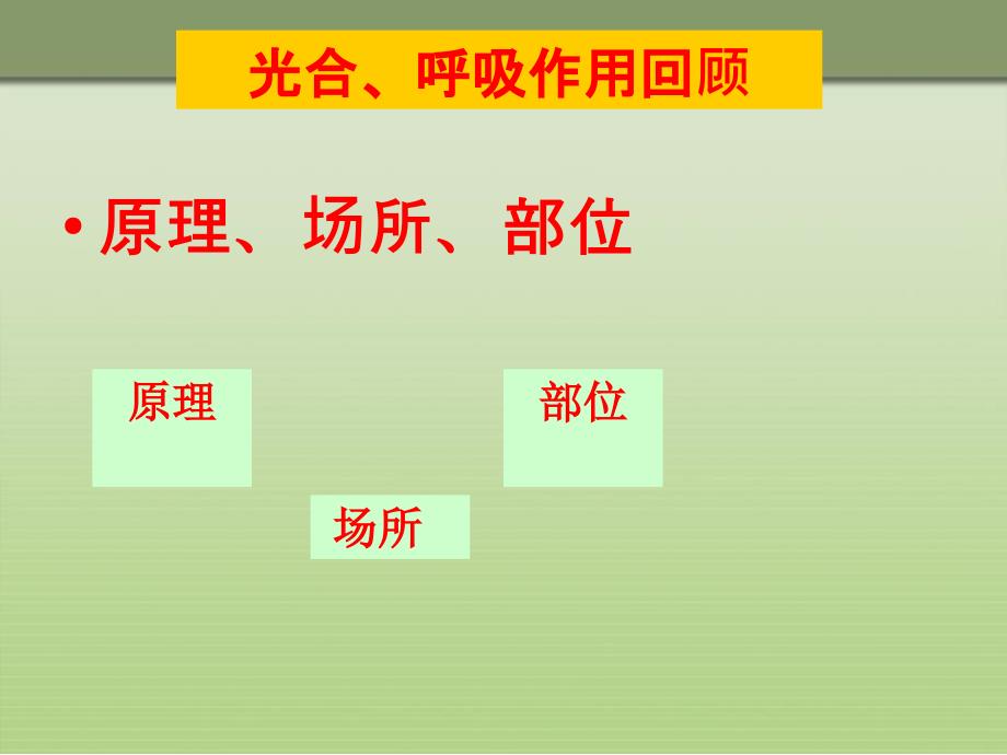 第三章绿色植物与生物圈的水循环复习_第4页