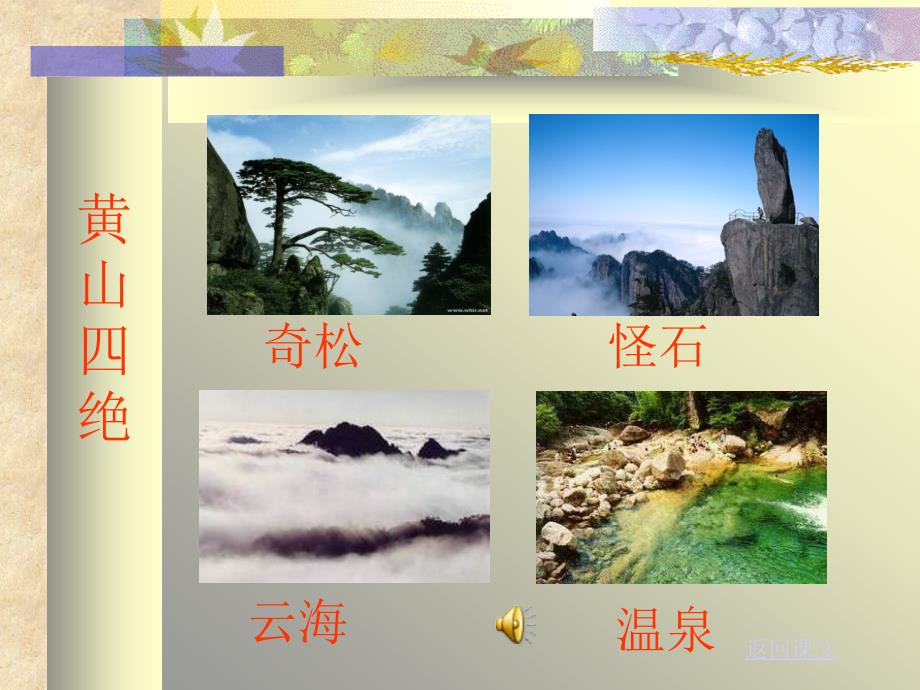 16、黄山奇松_幻灯片_第2页