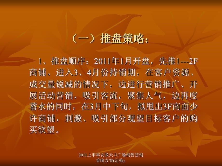 上半年安徽天丰广场销售营销策略方案定稿课件_第5页