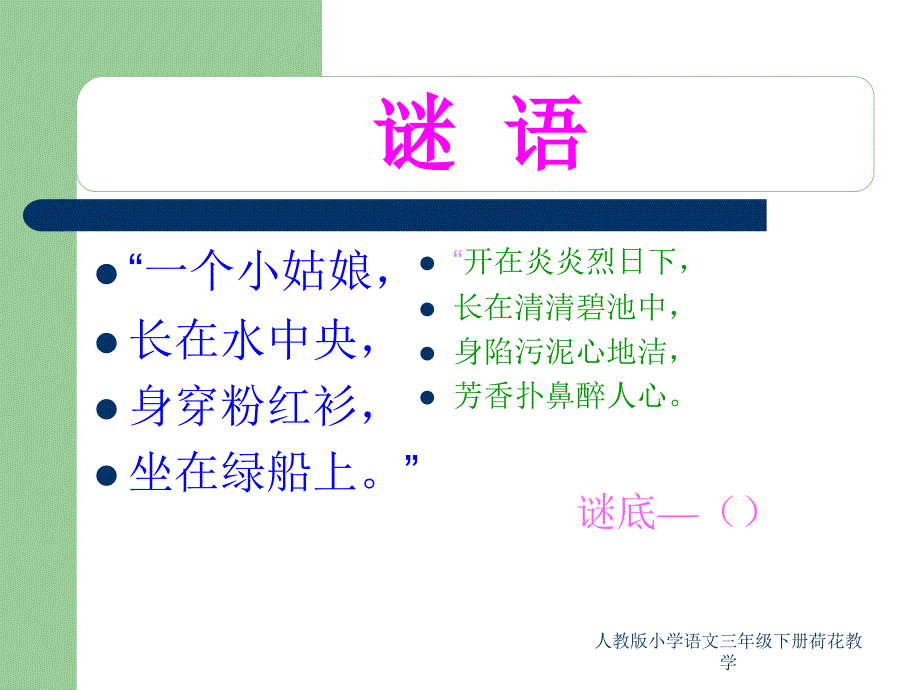 人教版小学语文三年级下册荷花教学课件_第1页