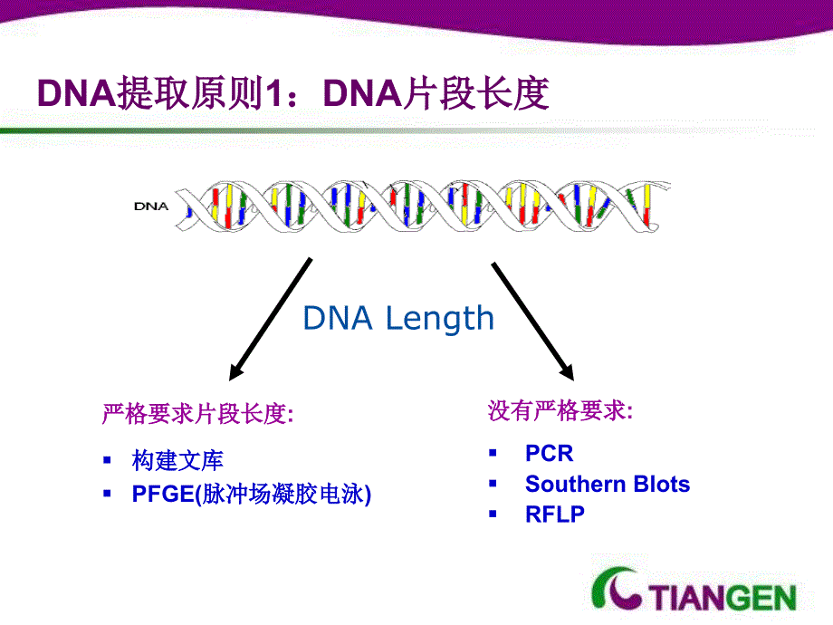 不可忽视的细血液基因组提取精选文档_第2页