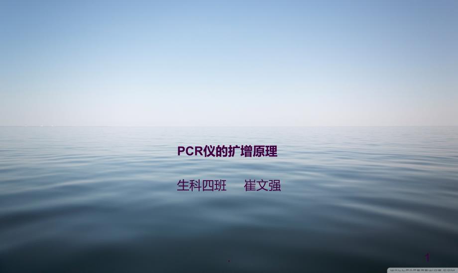 PCR仪的扩增原理ppt课件_第1页