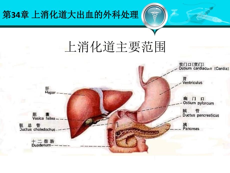 上消化道大出血的外科处理_第4页