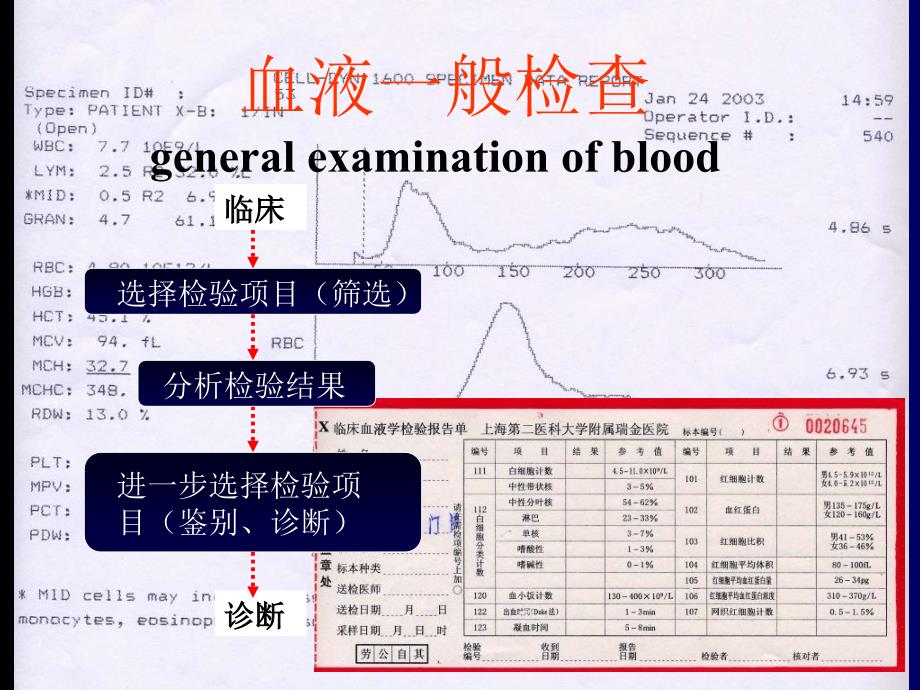 实验诊断-血液一般检查_第2页