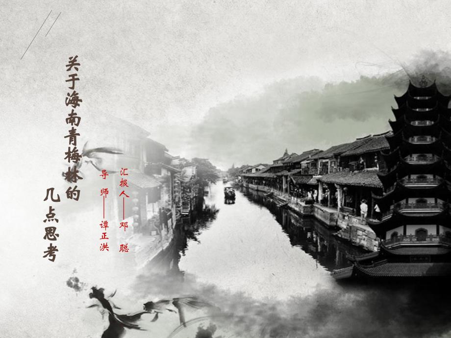 关于海南青梅林的几点思考PPT课件_第1页