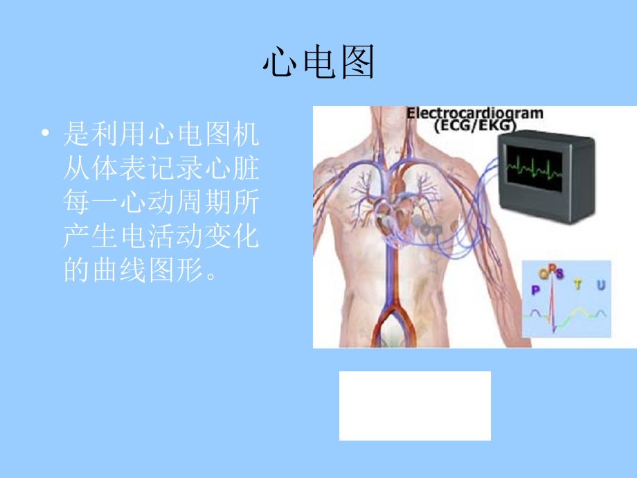 轻松习心电图基础知识ppt课件_第3页