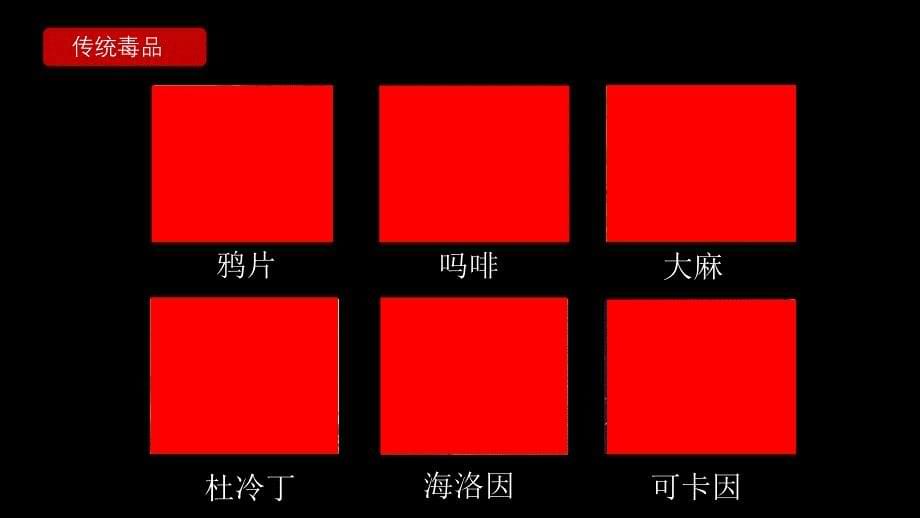 黑色珍爱生命远离毒品国际禁毒日禁毒宣传内容PPT汇报_第5页