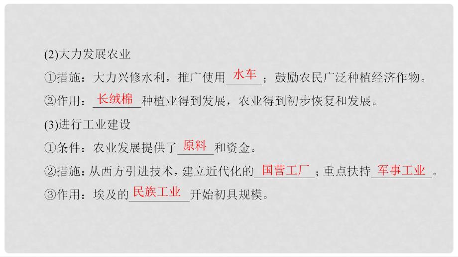 高中历史 专题6 穆罕默德阿里改革 二 中兴埃及的改革课件 人民版选修1_第4页